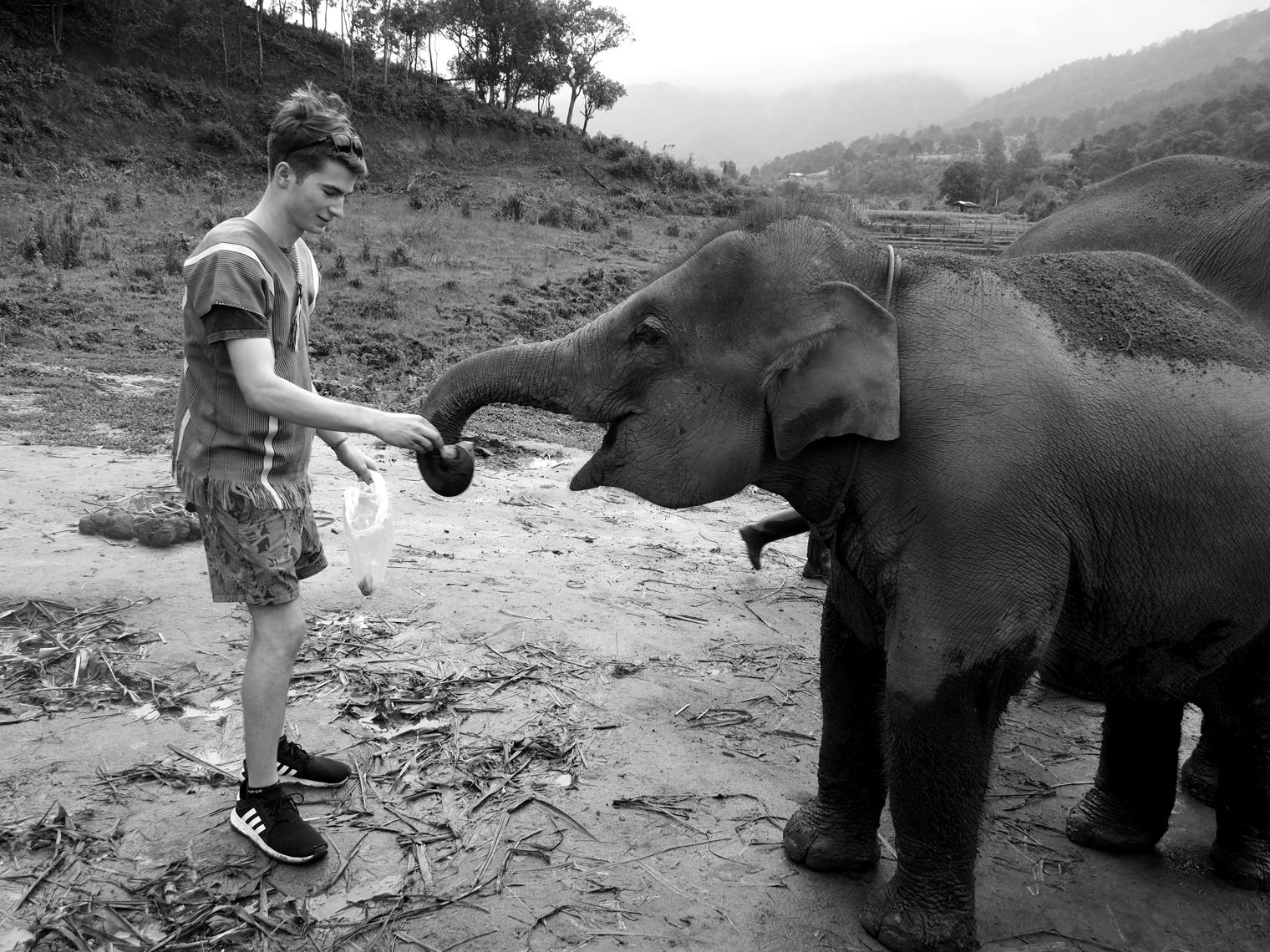 Stuart hugging a young elephant in a muddy river at a Chiang Mai sanctuary